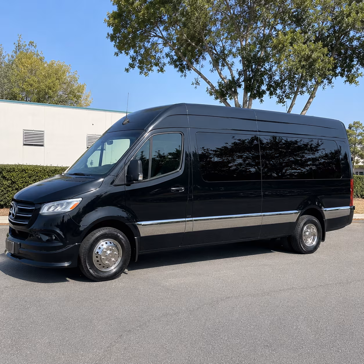 secure transportation for your next prom 5